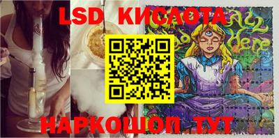spice Владивосток