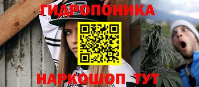 a pvp Владимир